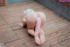 A woman with a pink furry tail is kneeling on a wooden deck.